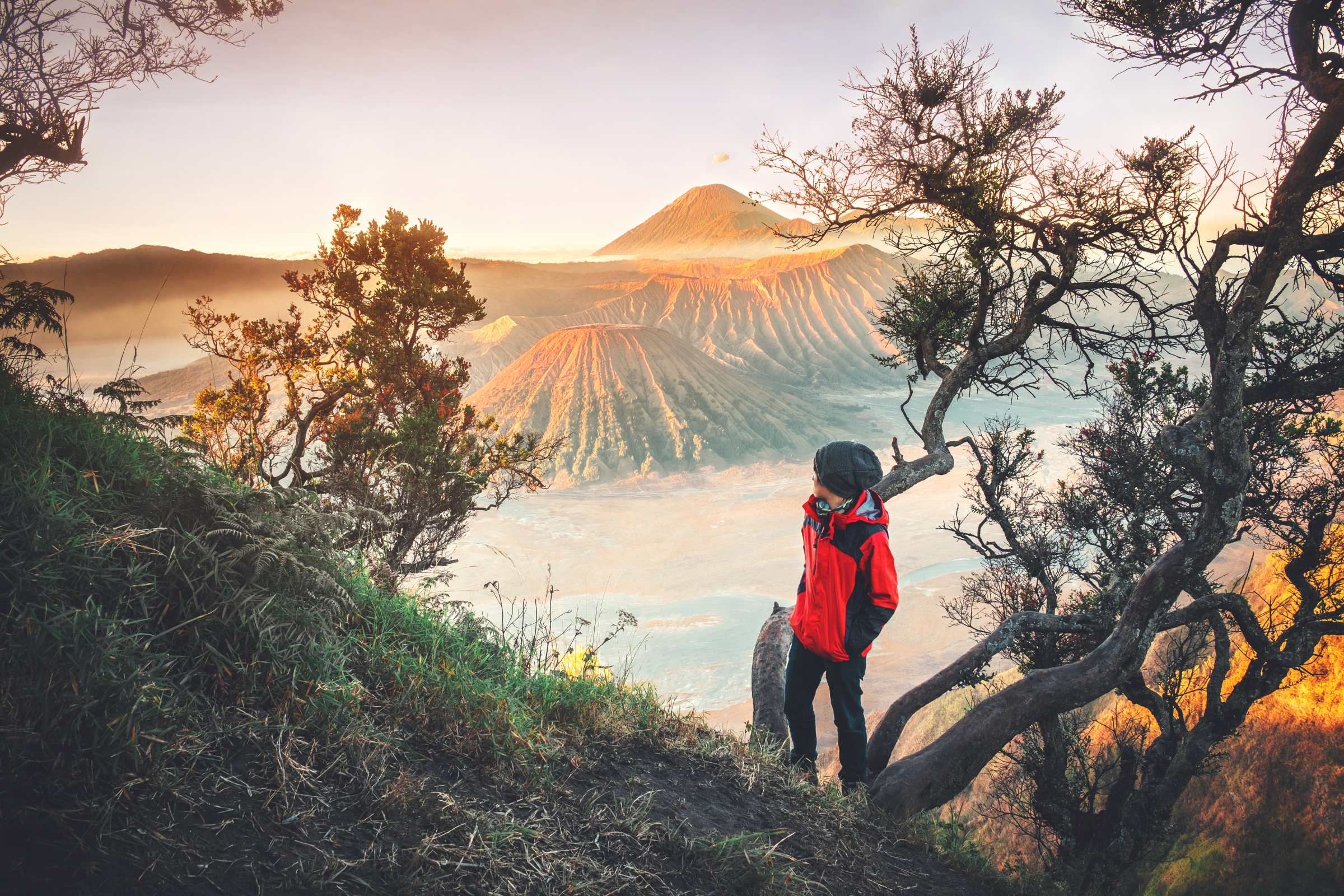 mt bromo, east java (3).webp